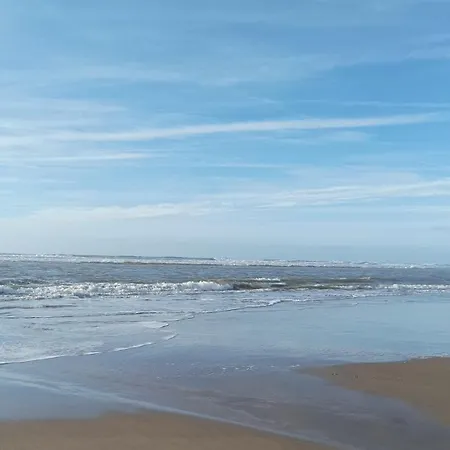 Lestudioetaulais Entre Royan Et Oleron * Etaules (Charente-Maritime)