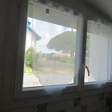 Lestudioetaulais Entre Royan Et Oleron