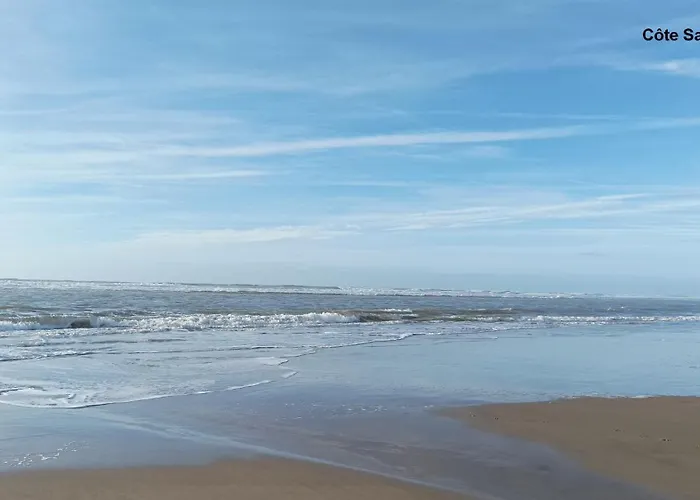 Lestudioetaulais Entre Royan Et Oleron * Etaules (Charente-Maritime)