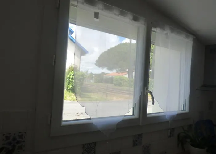 Lestudioetaulais Entre Royan Et Oleron